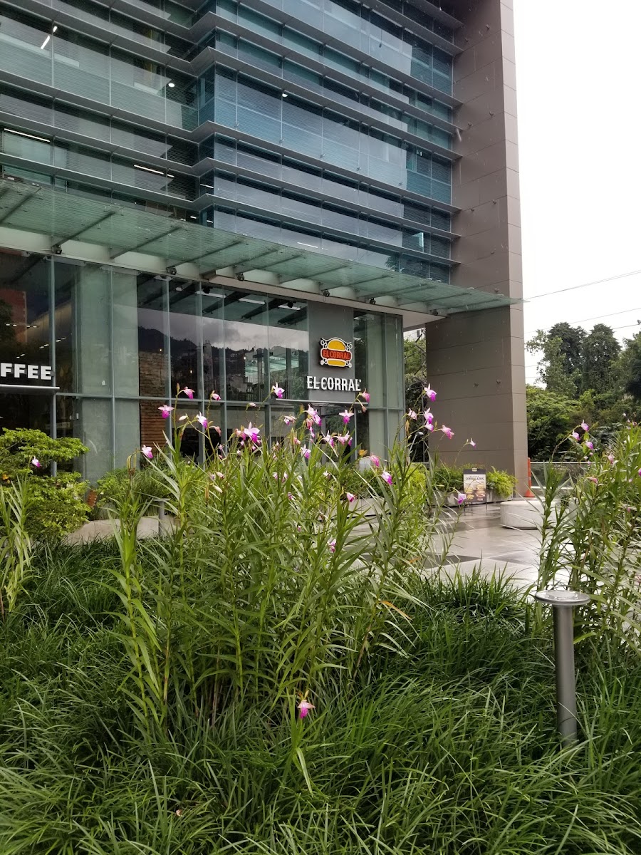 El Corral One Plaza