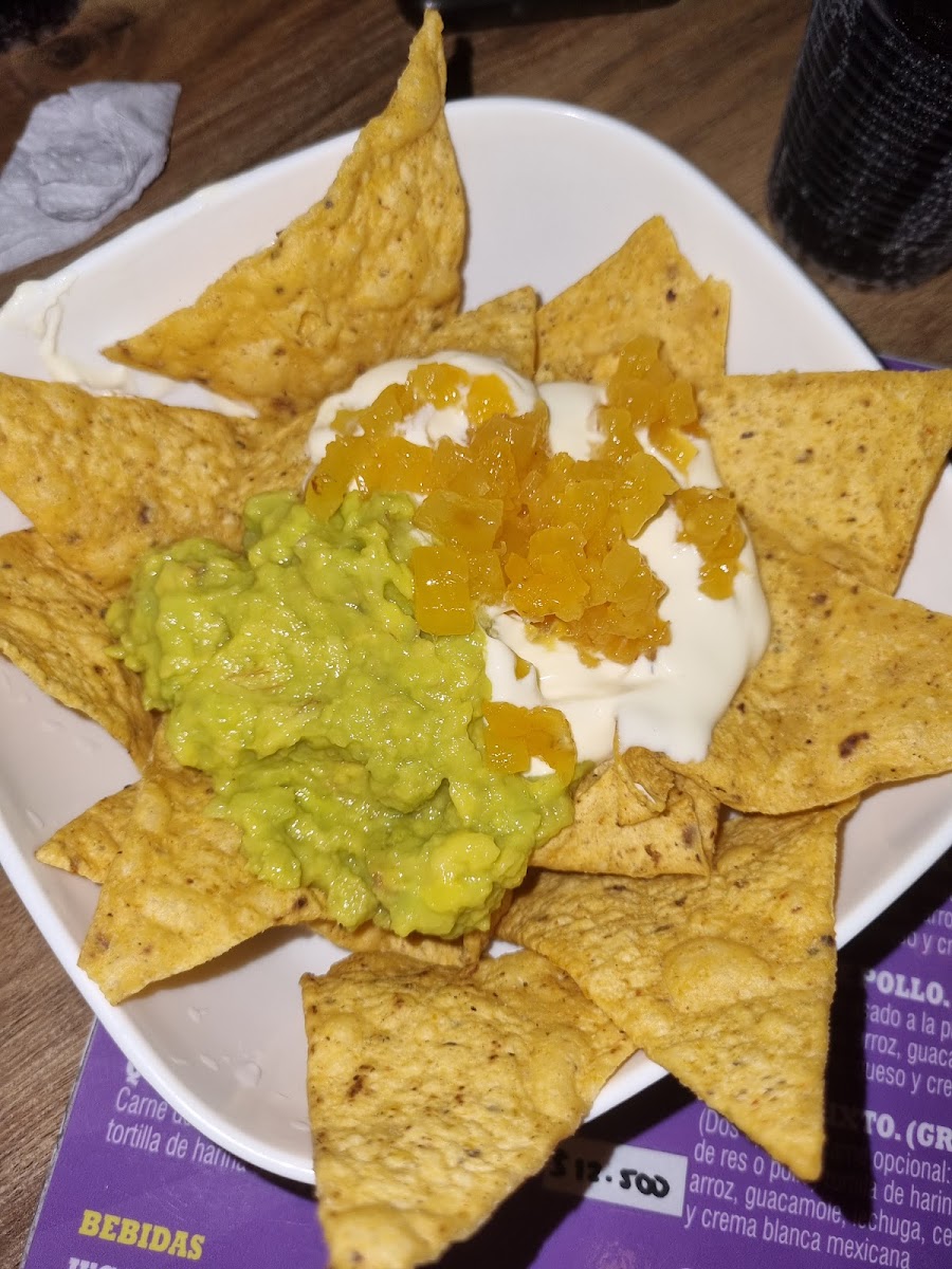 Norteños tacos de birria