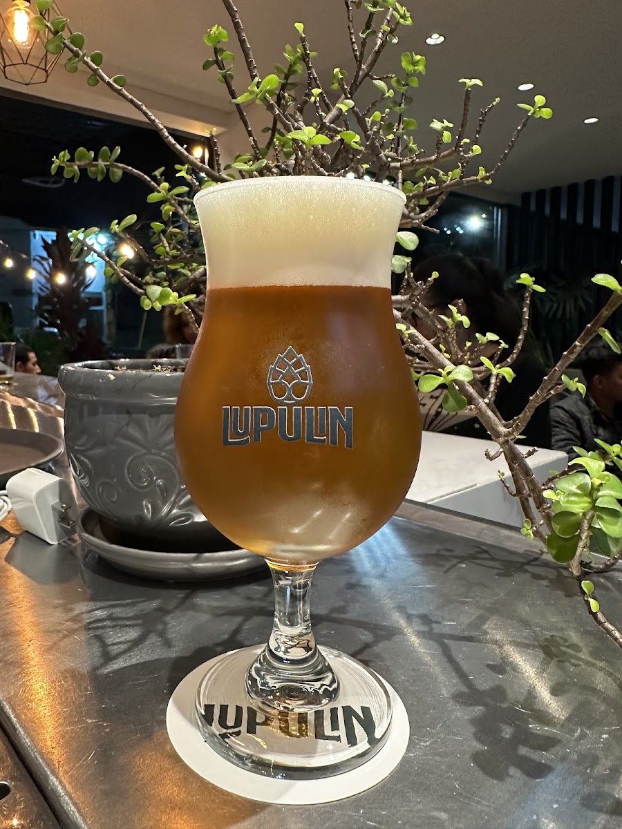 Lupulin Cerveceria