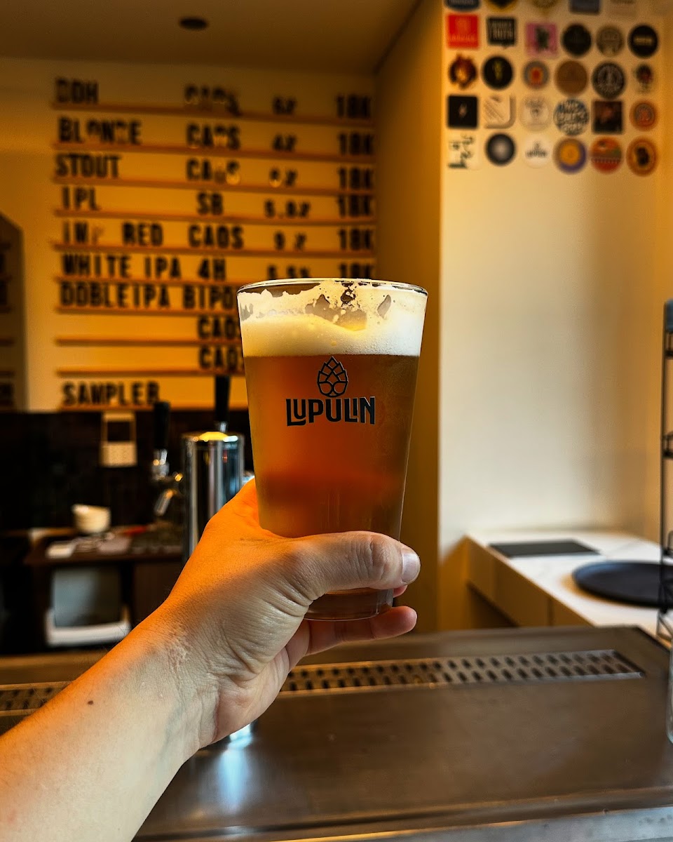 Lupulin Cerveceria