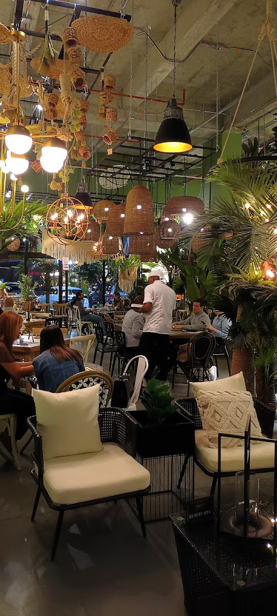 Ambiente Patio - Mozzarella Bar