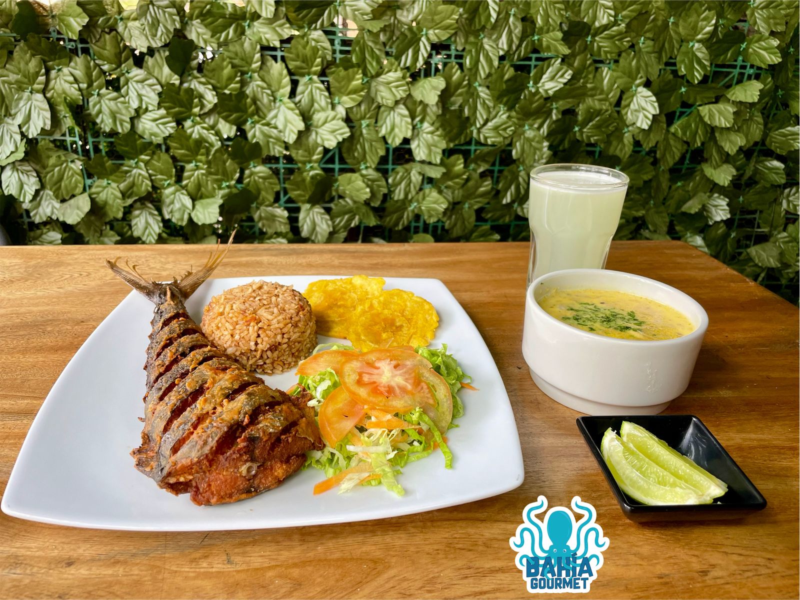 Bahia Gourmet