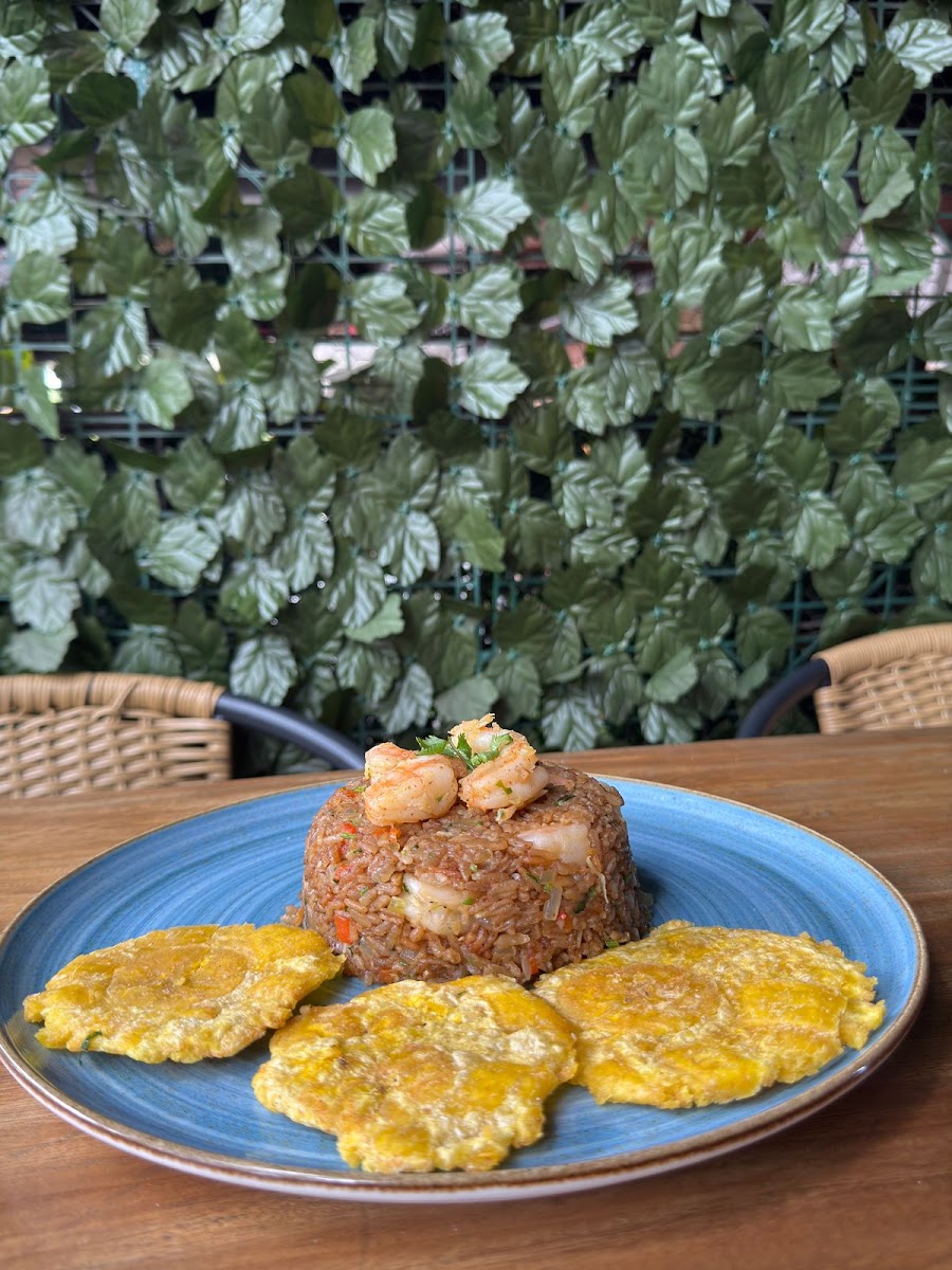 Bahia Gourmet