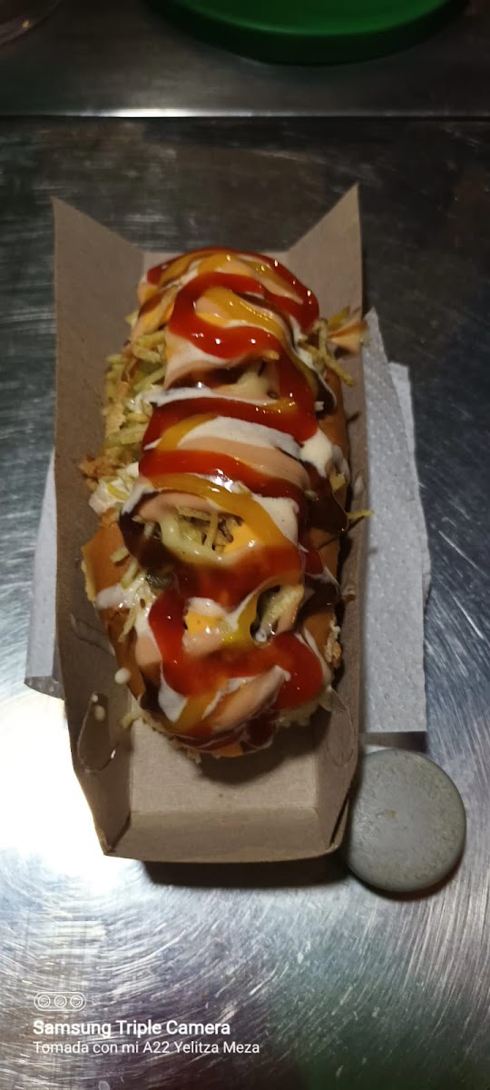 Perritos el rinconcito de San José