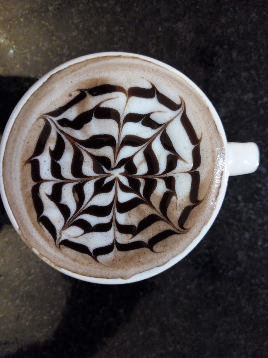 Catando Cafe