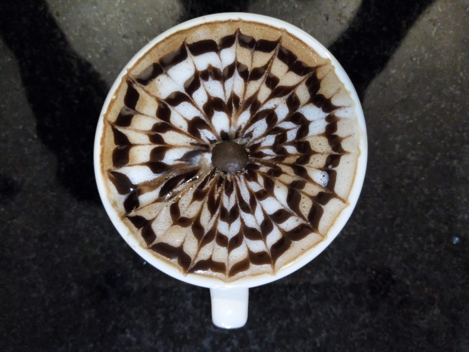 Catando Cafe