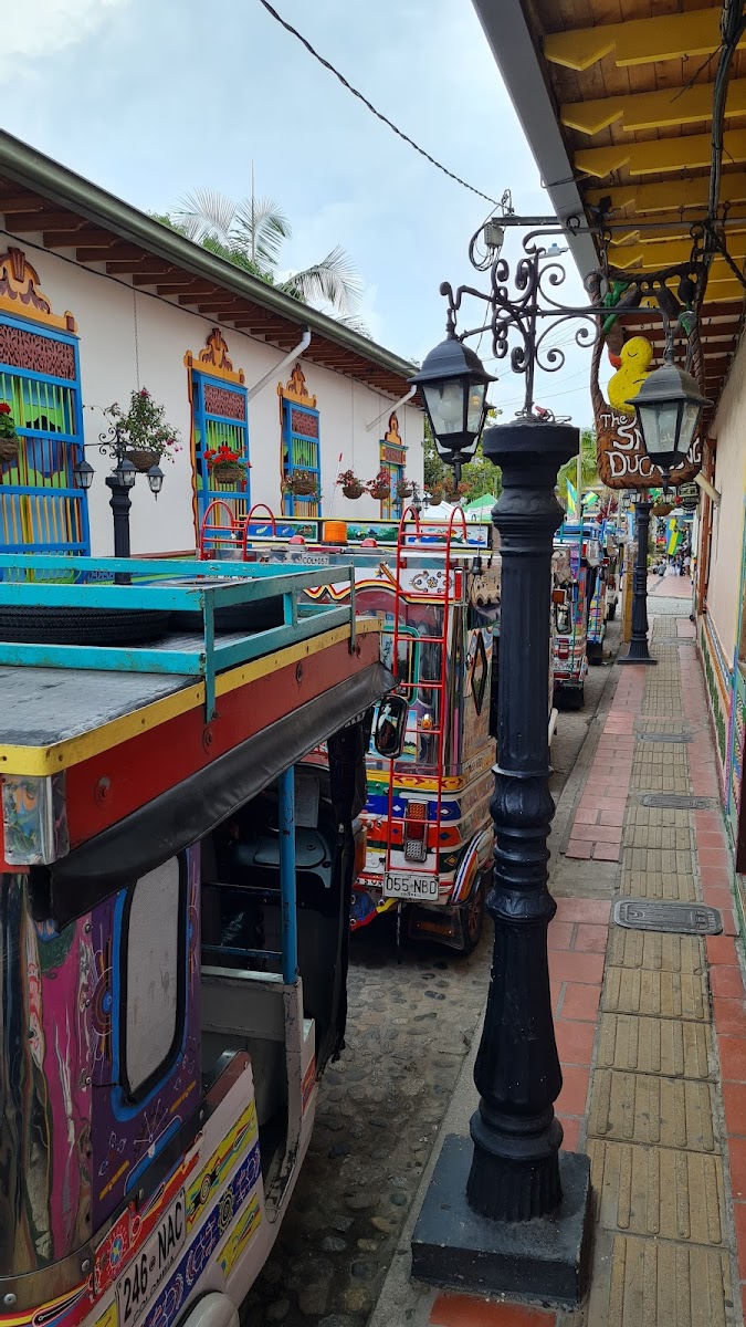 CAFETERIA FLORES DEL PARAÍSO