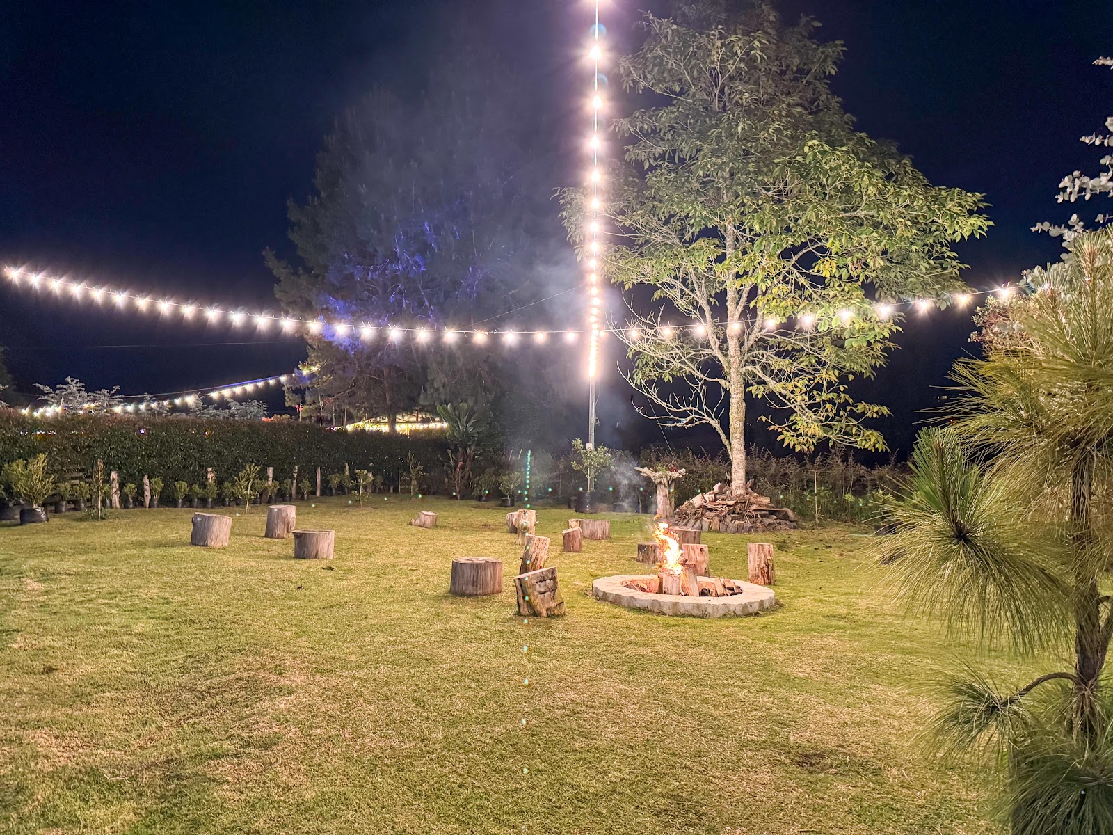 EVENTOS RESTAURANTE ALASKA HOUSE