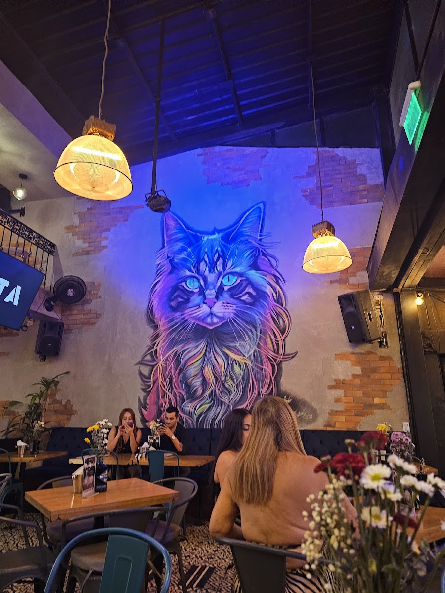 Restaurante Gata