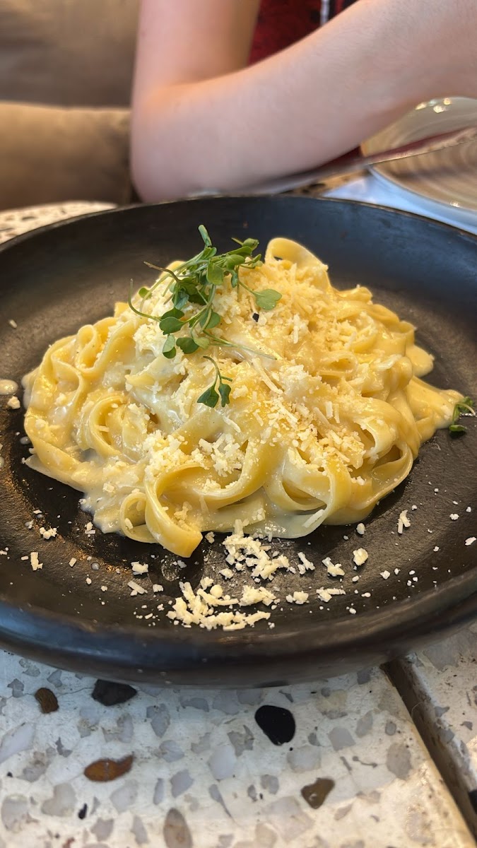 Viva Italia Cucina Italiana
