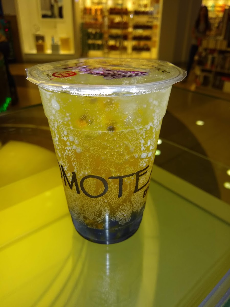 Momotea Viva Laureles