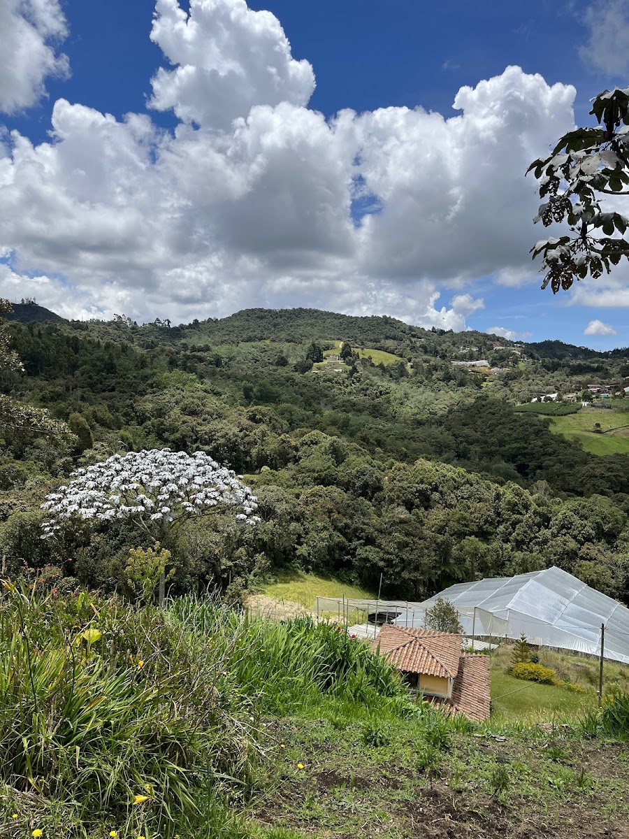 Finca Silletera El Chagualo