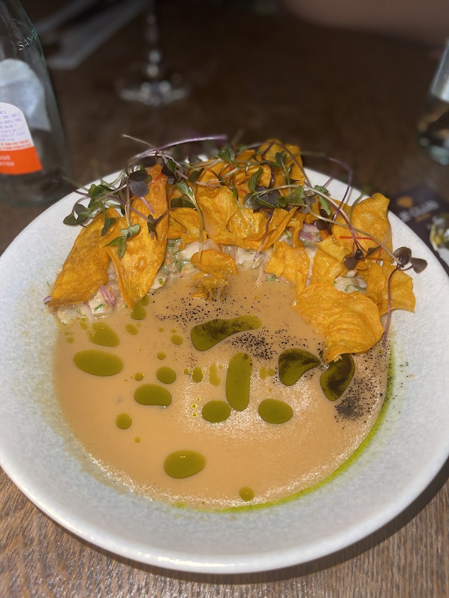 Coraçao Medellín