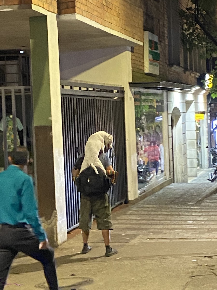 CALLE 10