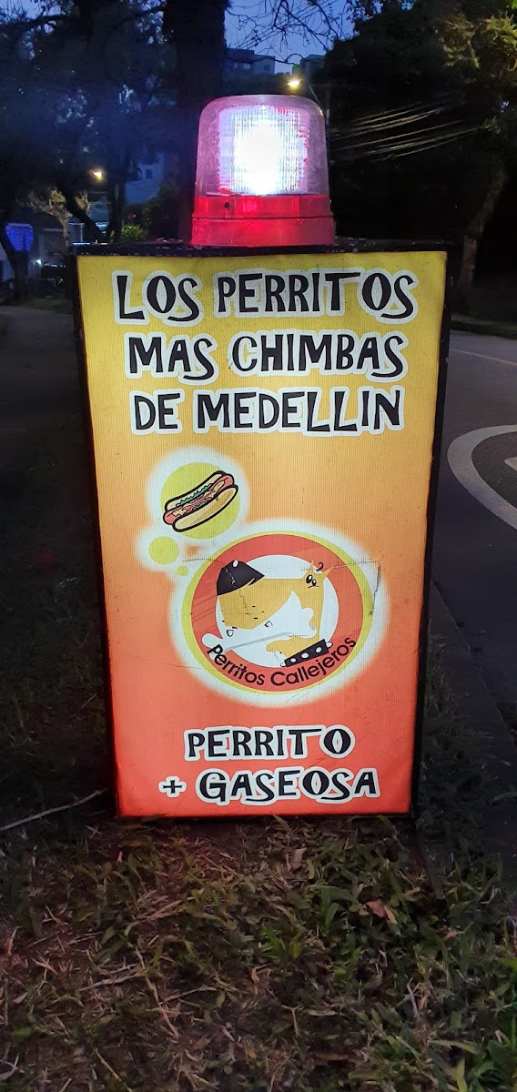 Perritos callejeros