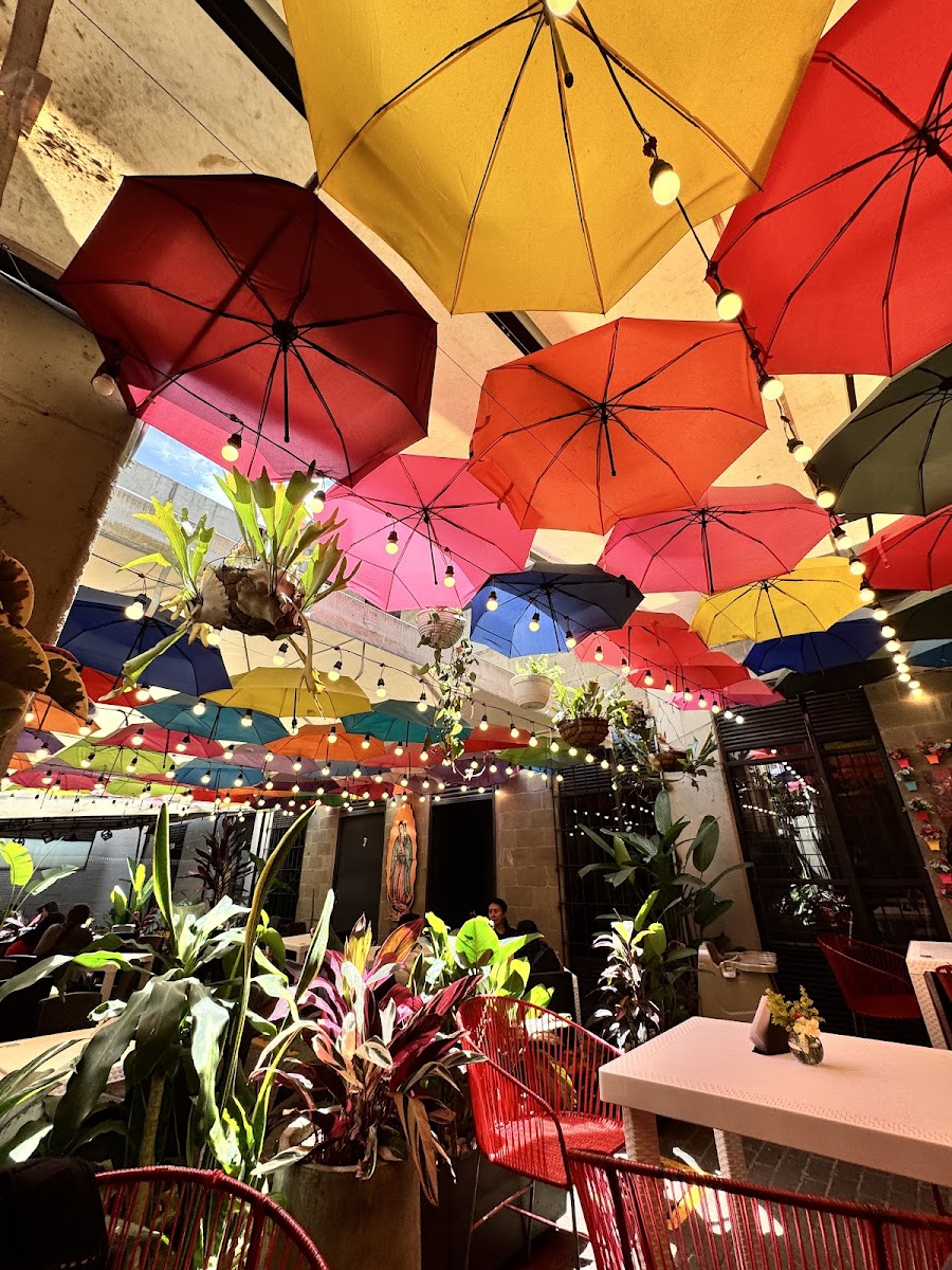 Taquería Cuernavaca Centro
