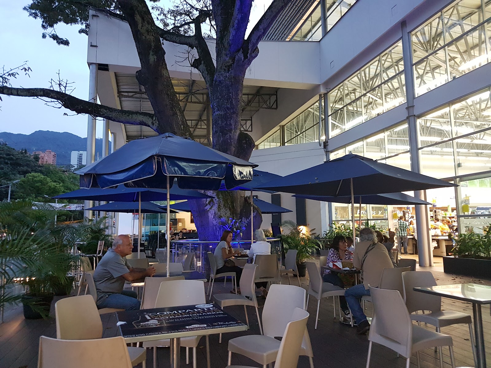 Parrilla Grill Euro La Frontera