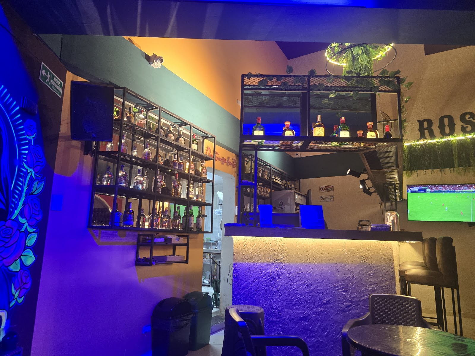 Rosario mexican food