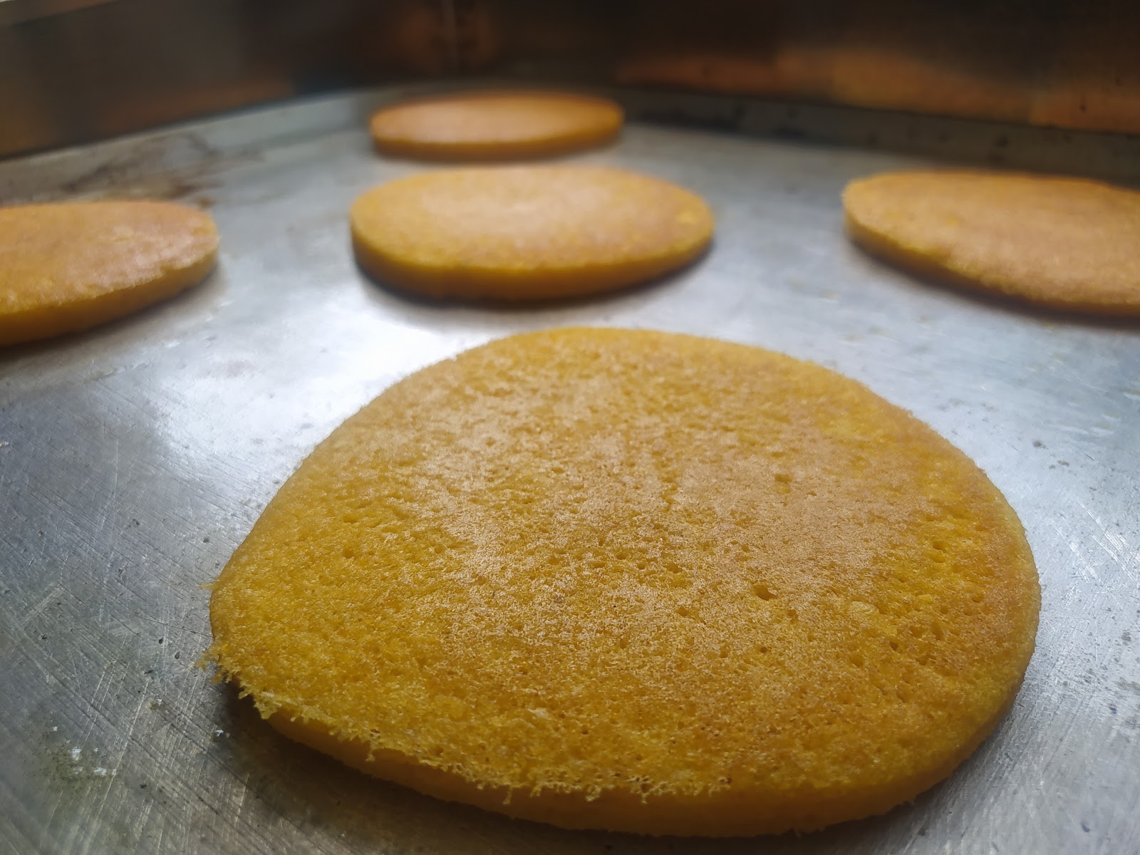 Delicias del Suroeste