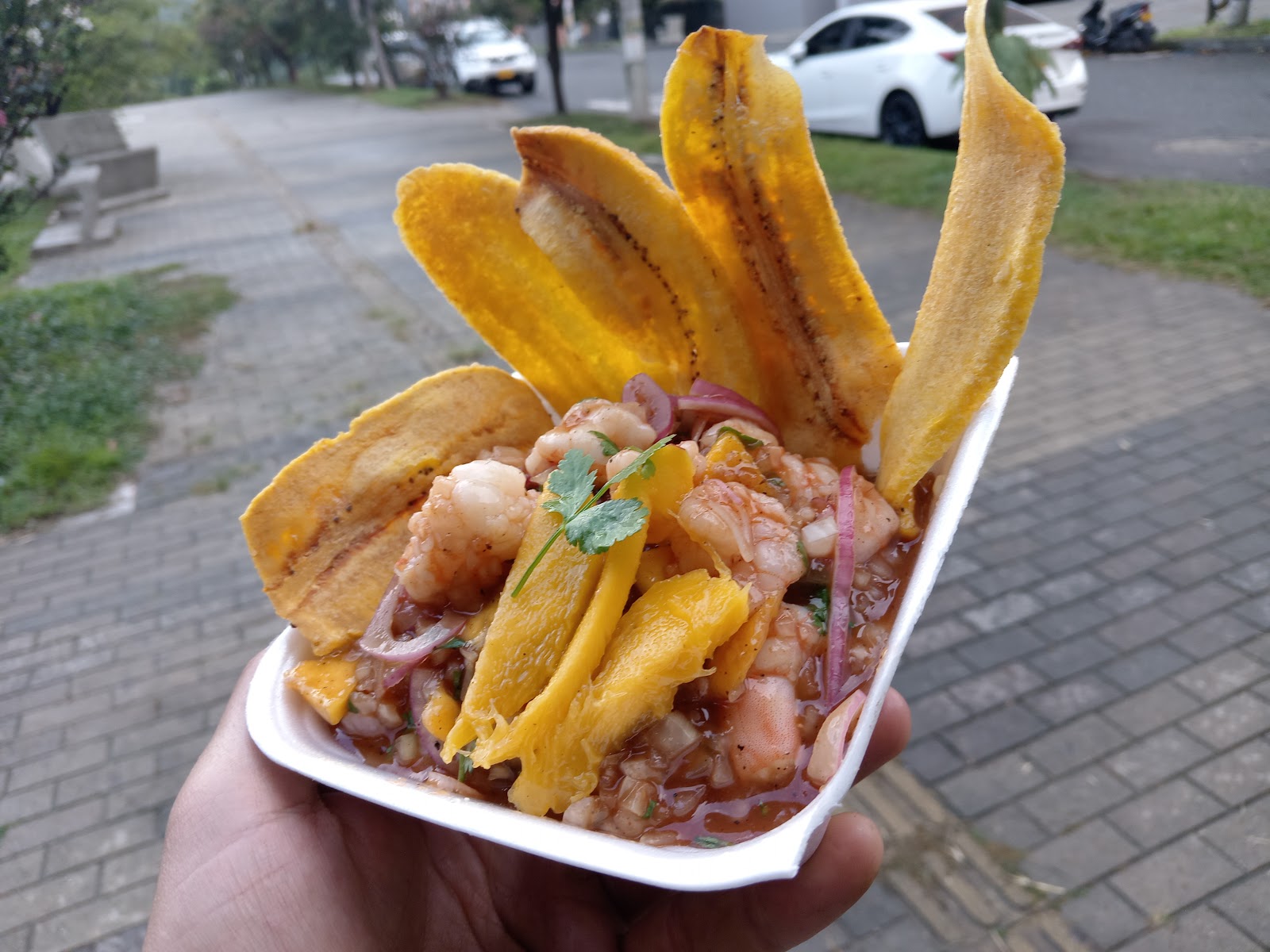 Los Puros Criollos