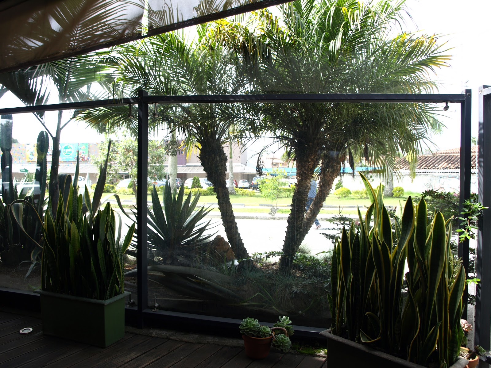 Tucan Cafe