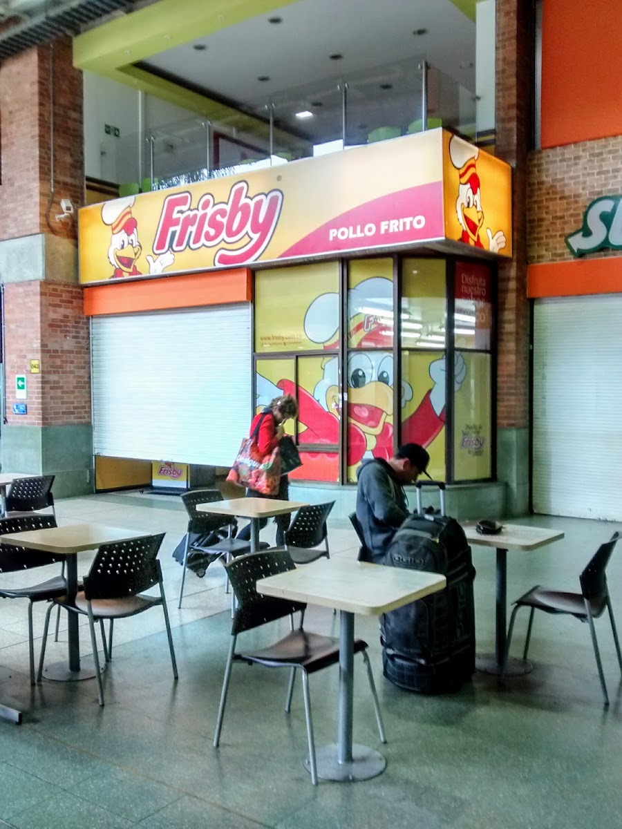 Frisby Terminal Sur