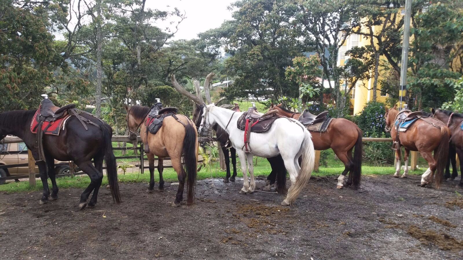 Fonda la Cabalgata