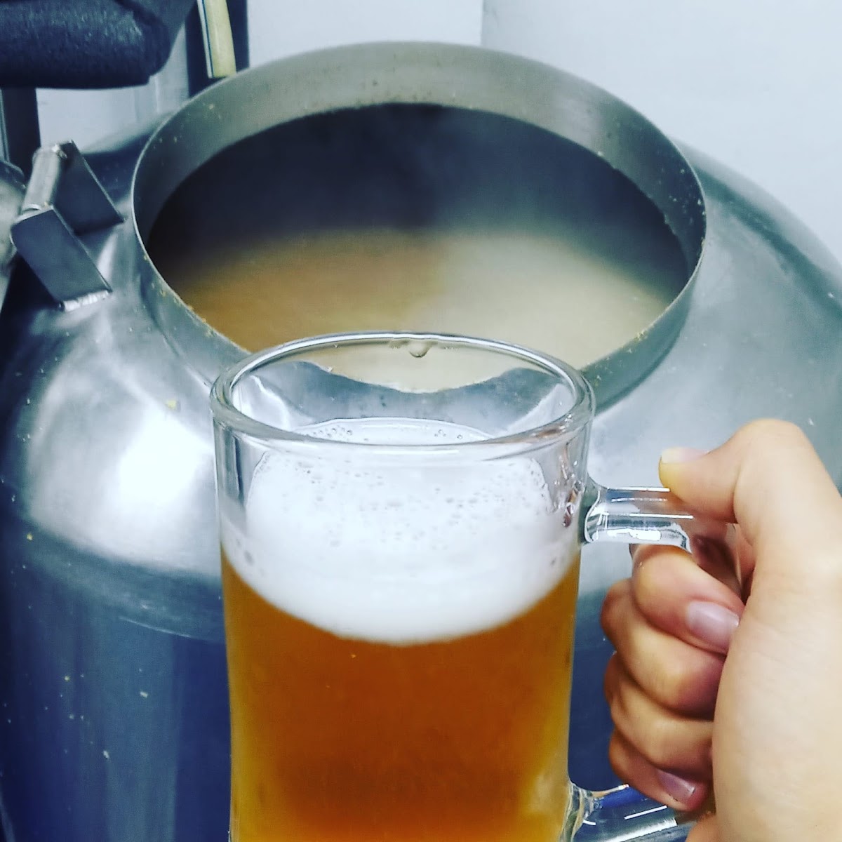 cervecería zócalo