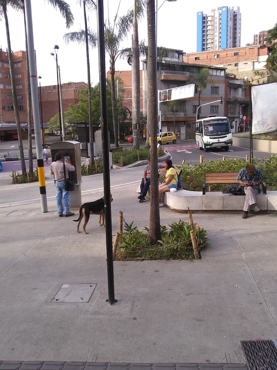 Pollos El Dorado