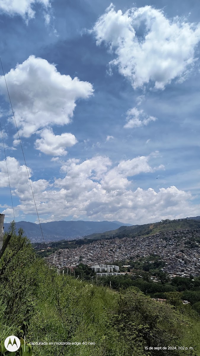Platanitos