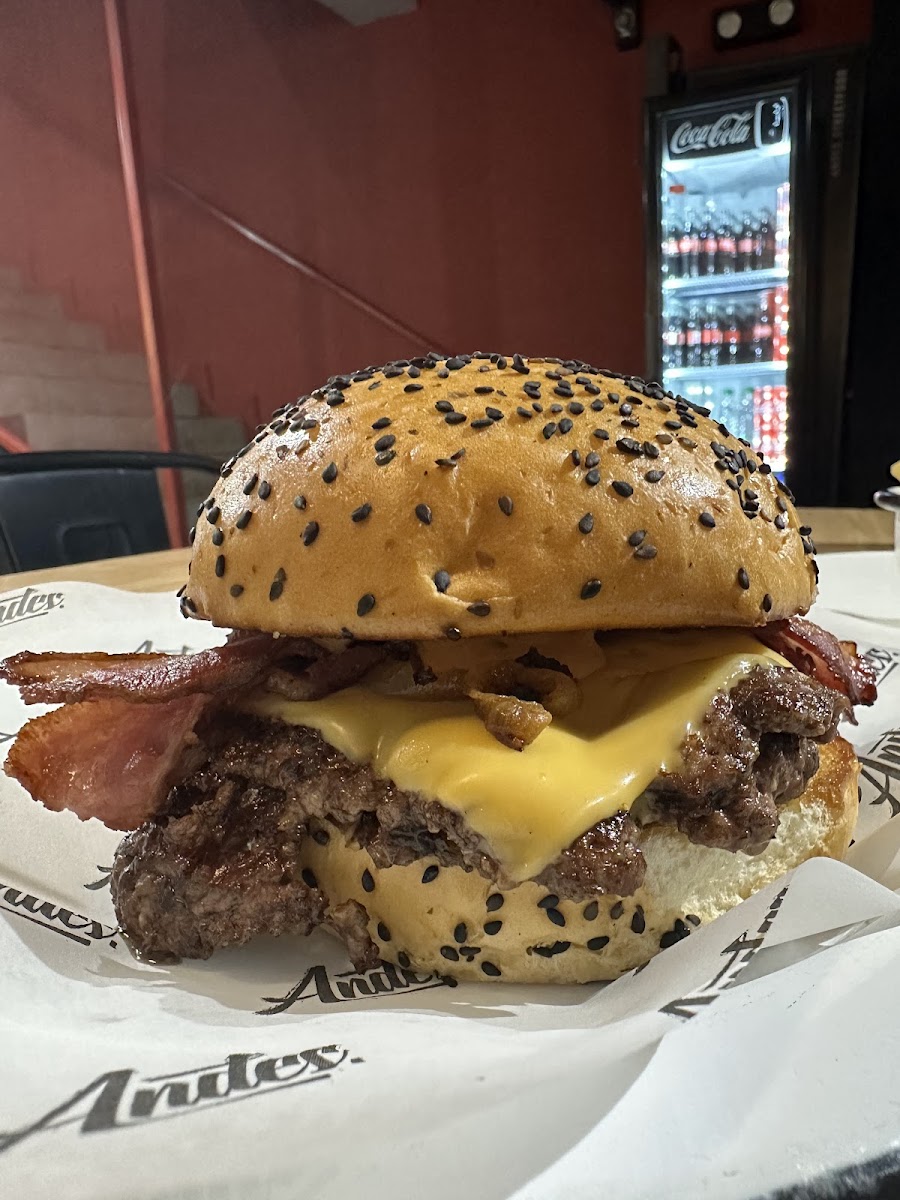Andes Burger