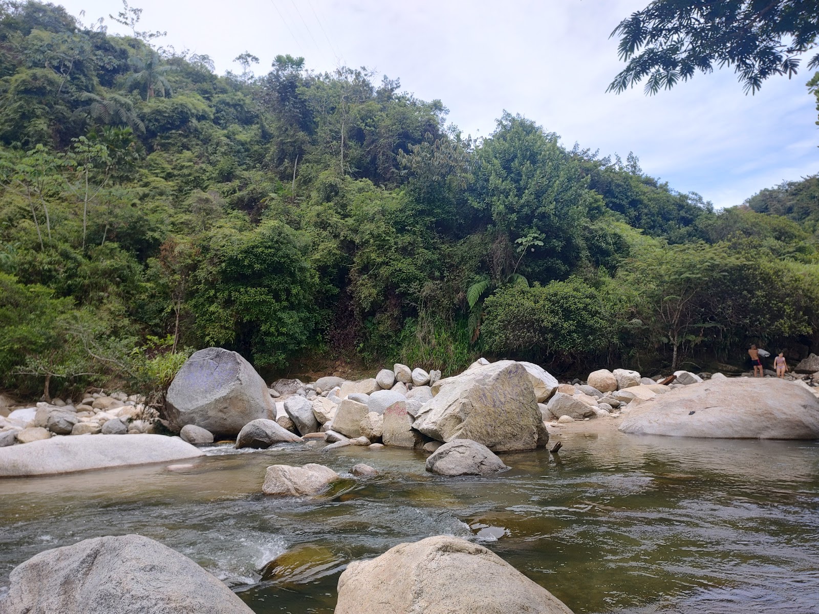 Cisneros medellin