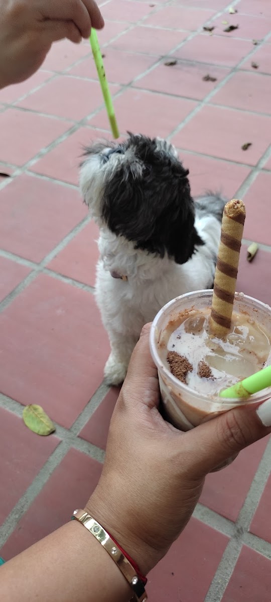 Chicha Venezolana Chicheatee
