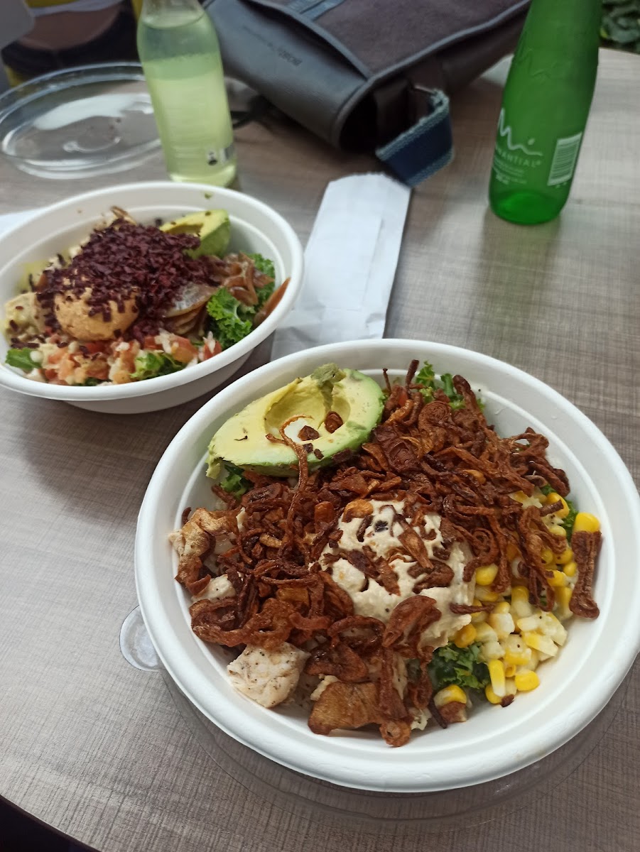 Vin & Gretta - Viva Envigado