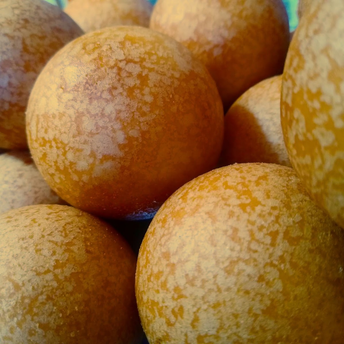 B&P Buñuelos y Palitos Exquisitos