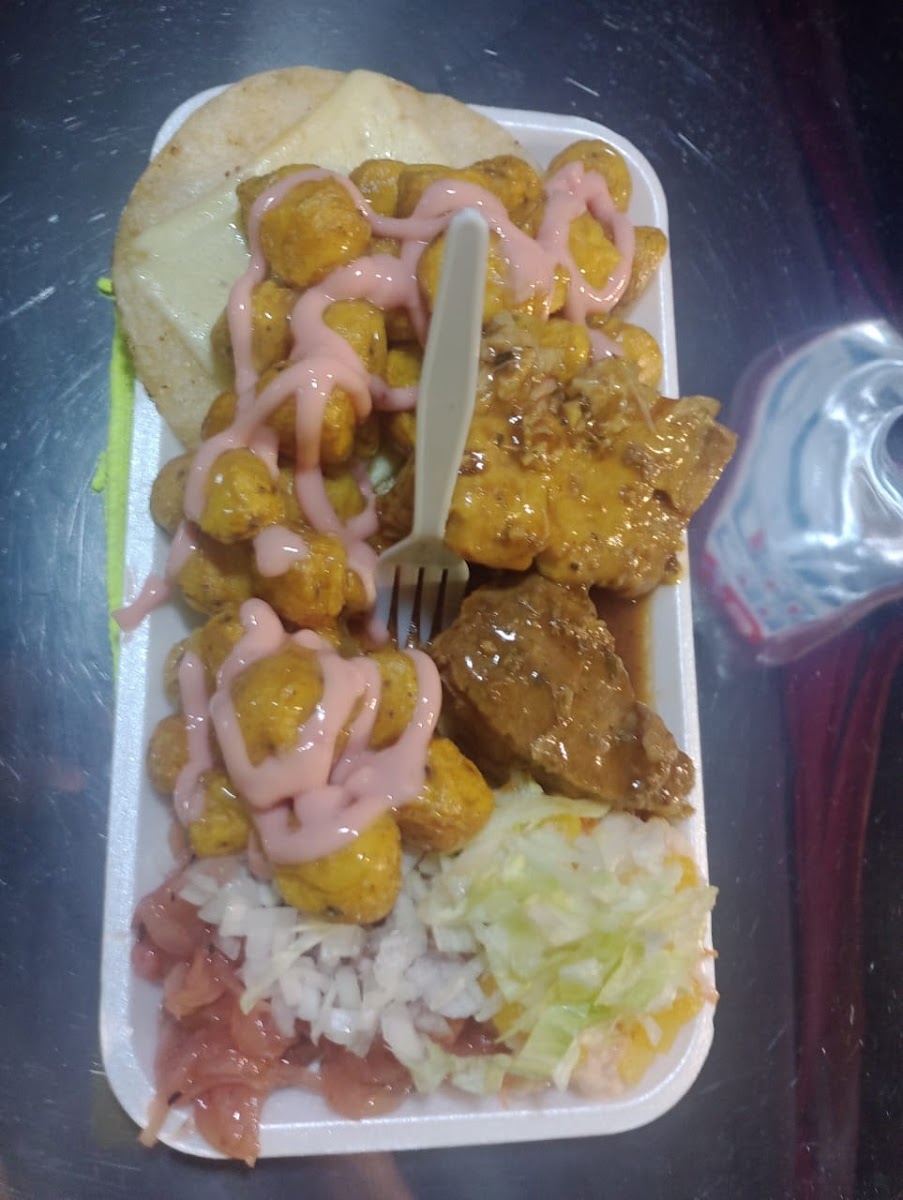 Que Perro Robledo Santa Maria