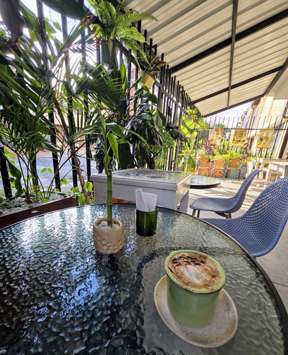 Selva Café & Arte