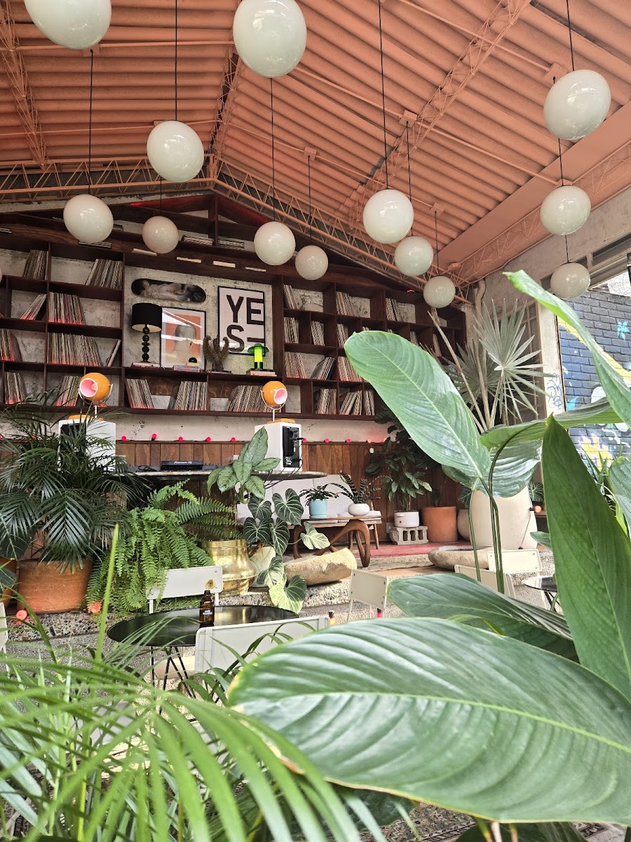 CAFÉ DRAGÓN