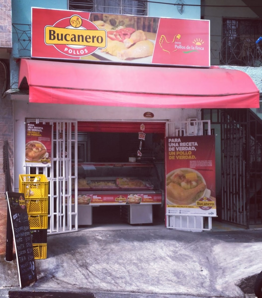 Domipollo - Bucanero