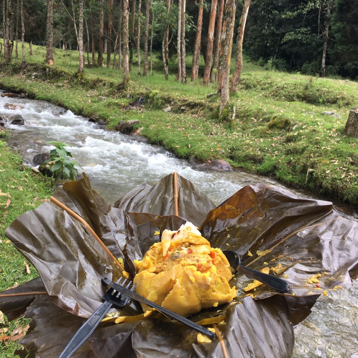 TAMALES DEL PAISA aranjuez