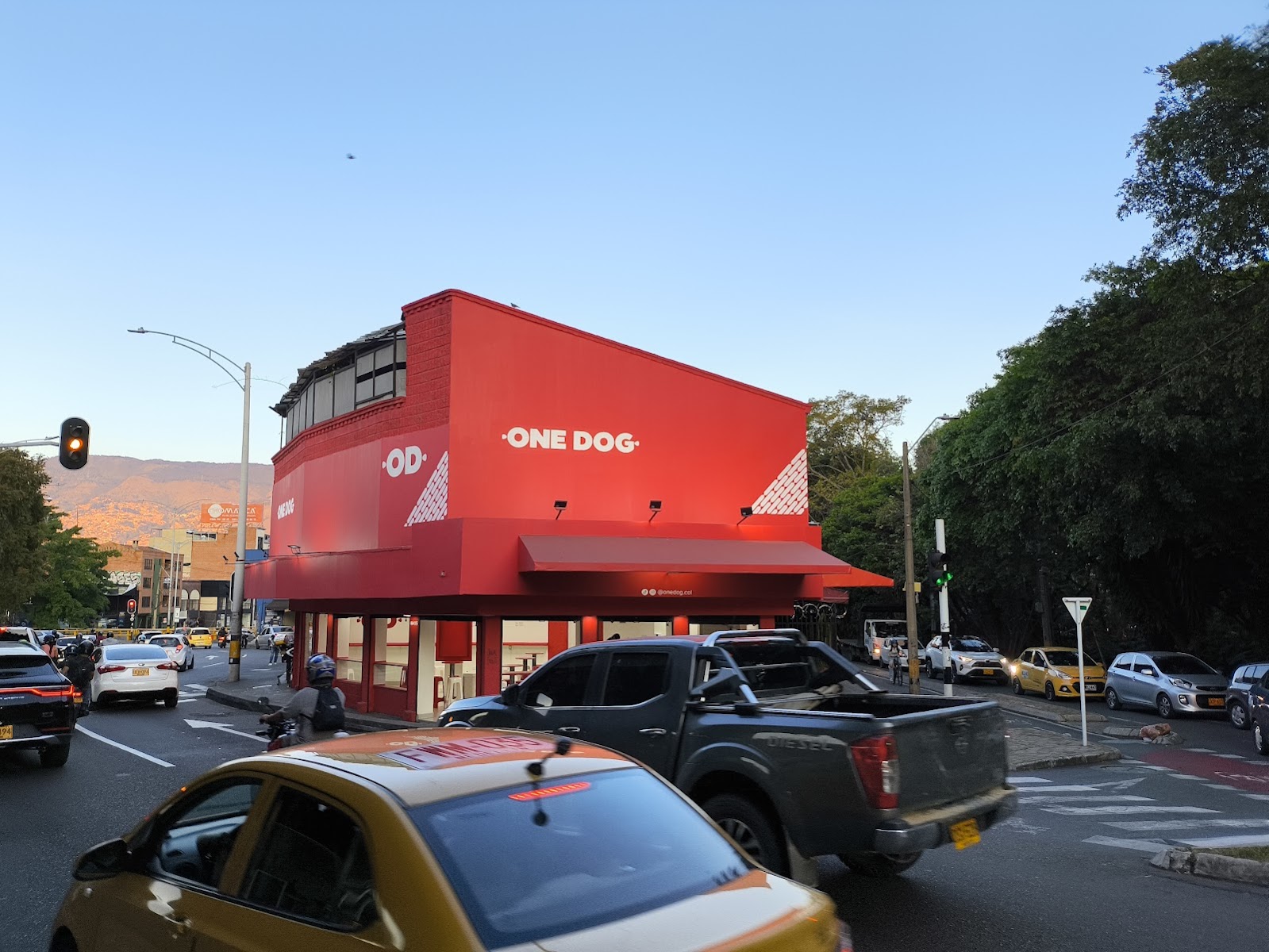One Dog Bulerías