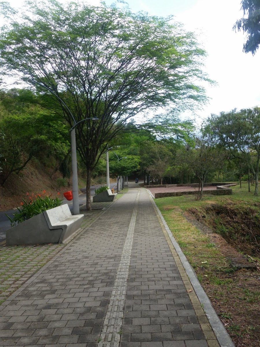 Frutería Módulo 4 Cerro El Volador