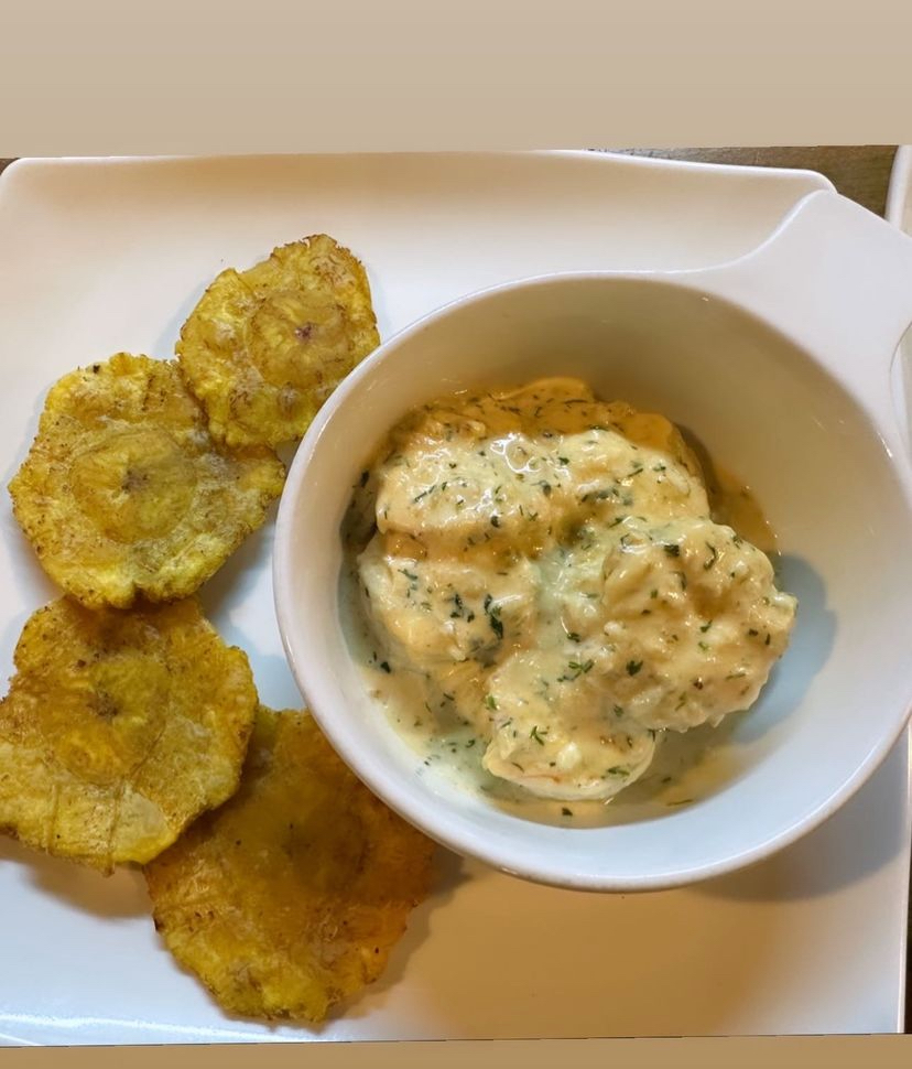 Ofi gourmet 2