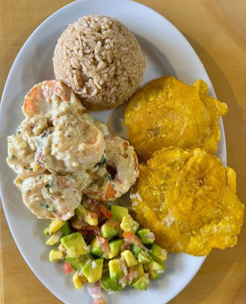 Ofi gourmet 2