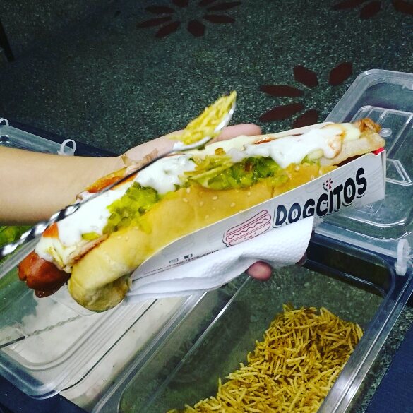 dogcitos castilla