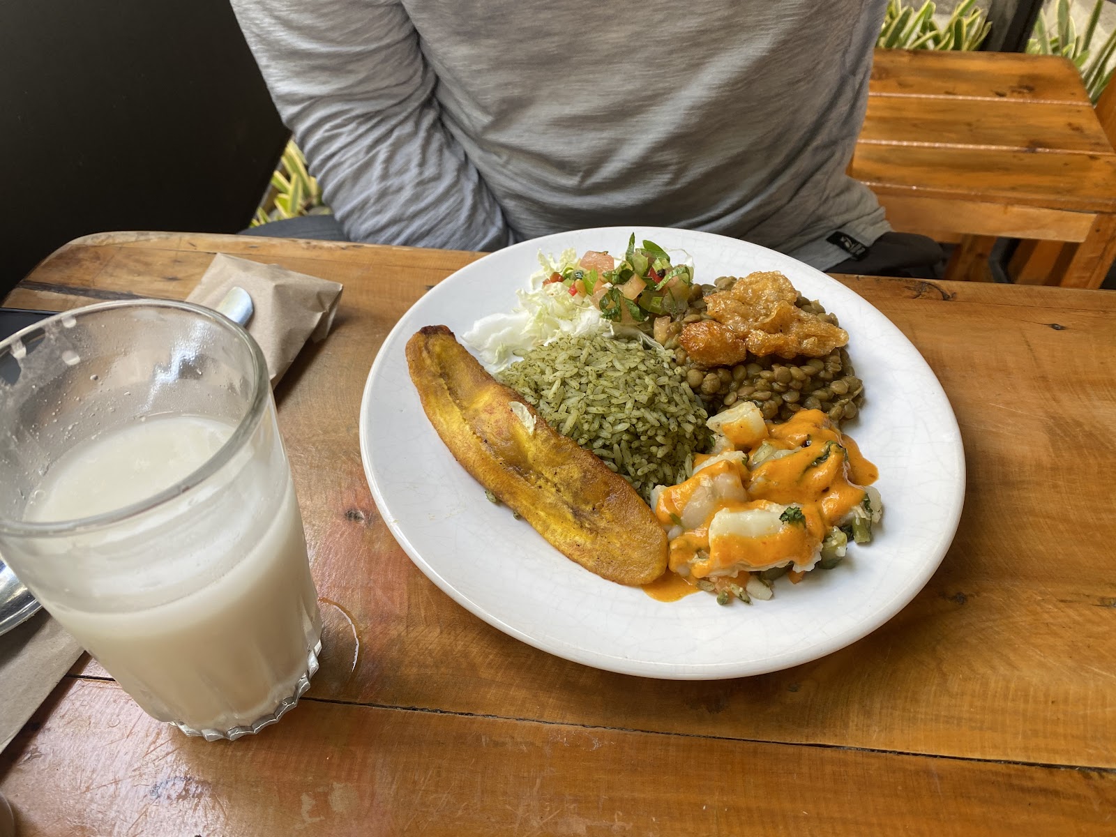 El Vegano Andante