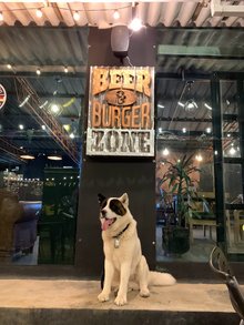 AKITA Beer and Burger