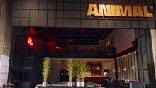 Animal Cocina CC Florida