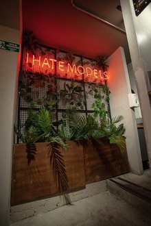 Animal Cocina Envigado