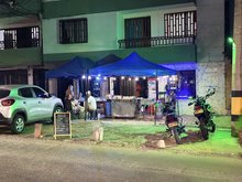 Área 84 perritos
